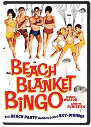 Beach Blanket Bin