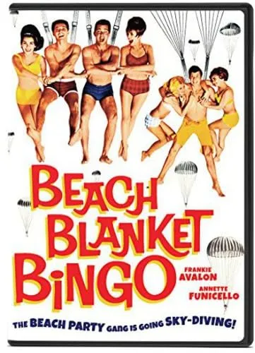 Beach Blanket Bin