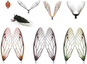 Pack of 80 Realistic Fly Tying Wings Pre-Cut Insect Stonefly Wings Fishing Baits