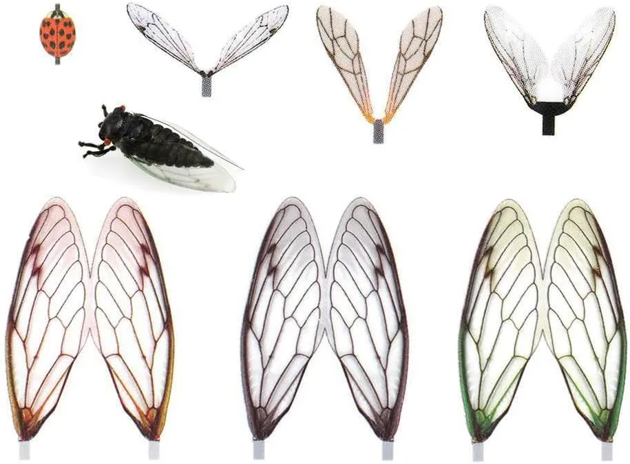 Pack of 80 Realistic Fly Tying Wings Pre-Cut Insect Stonefly Wings Fishing Baits